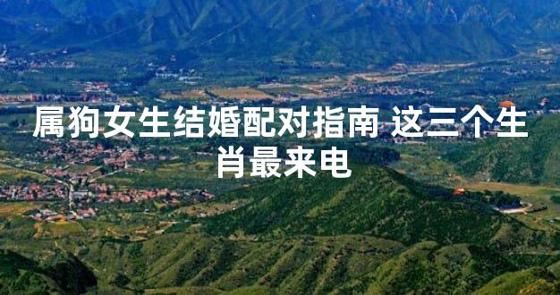 属狗女生结婚配对指南 这三个生肖最来电